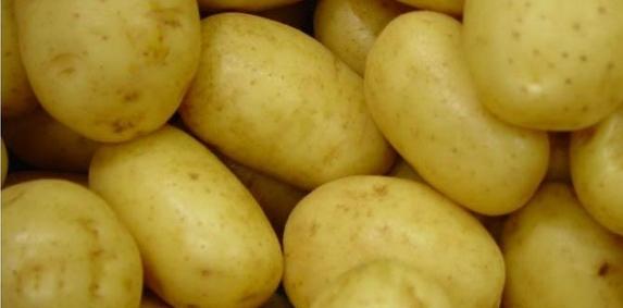 Pommes de terre : repli de la production européenne plus important qu’estimé en juillet