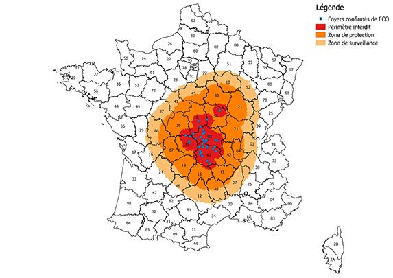 Nouveaux foyers FCO : extension de la zone réglementée vers l’Est de la France